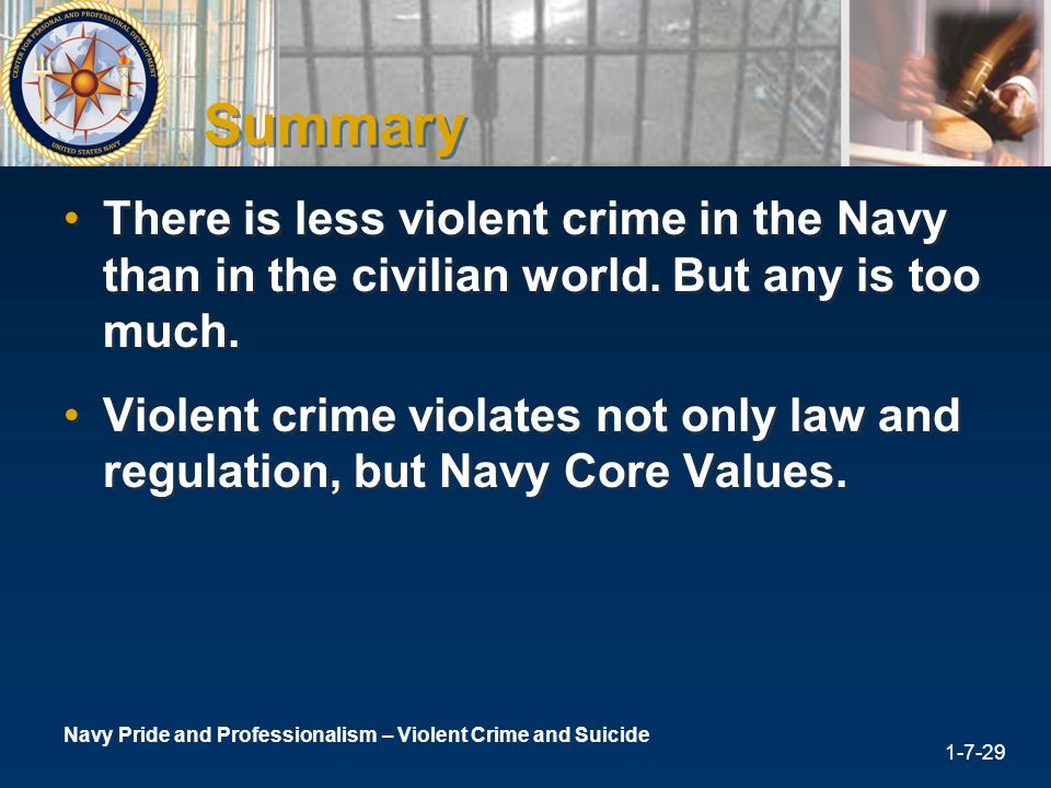 Navy Pride and Professionalism - PowerPoint PPT Presentation